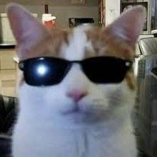Drxp__ avatar