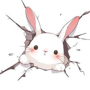 chunaii_