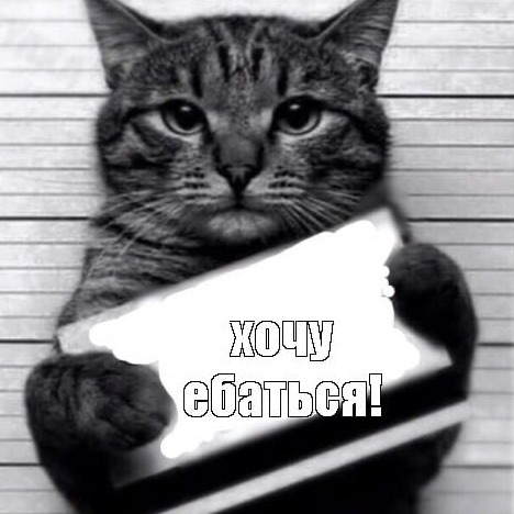 luvsex
