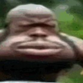 pidorasPRIME
