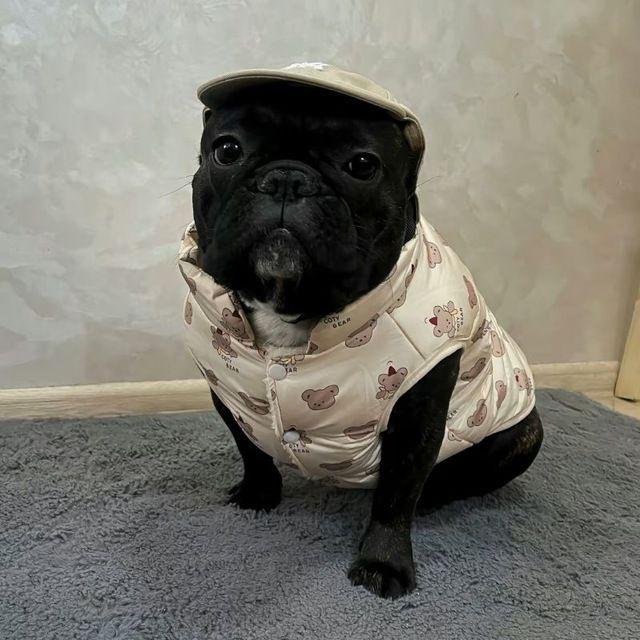 m0npleeee