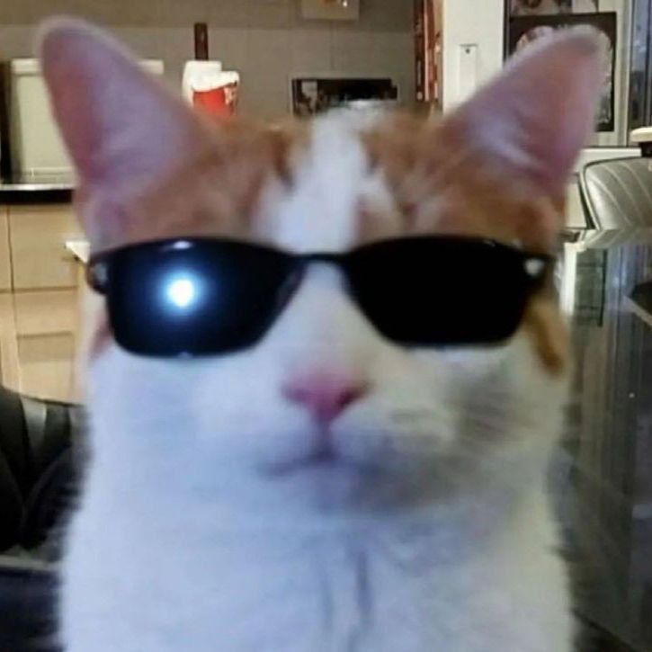 PanViktor