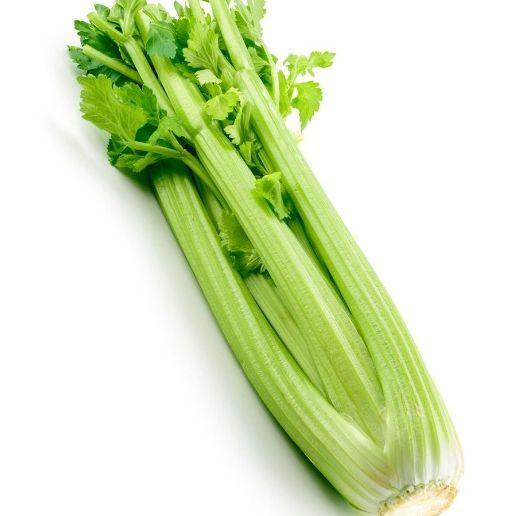 The_Celery avatar