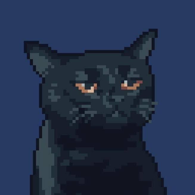 SaiZaa avatar