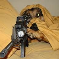 B_Dogg