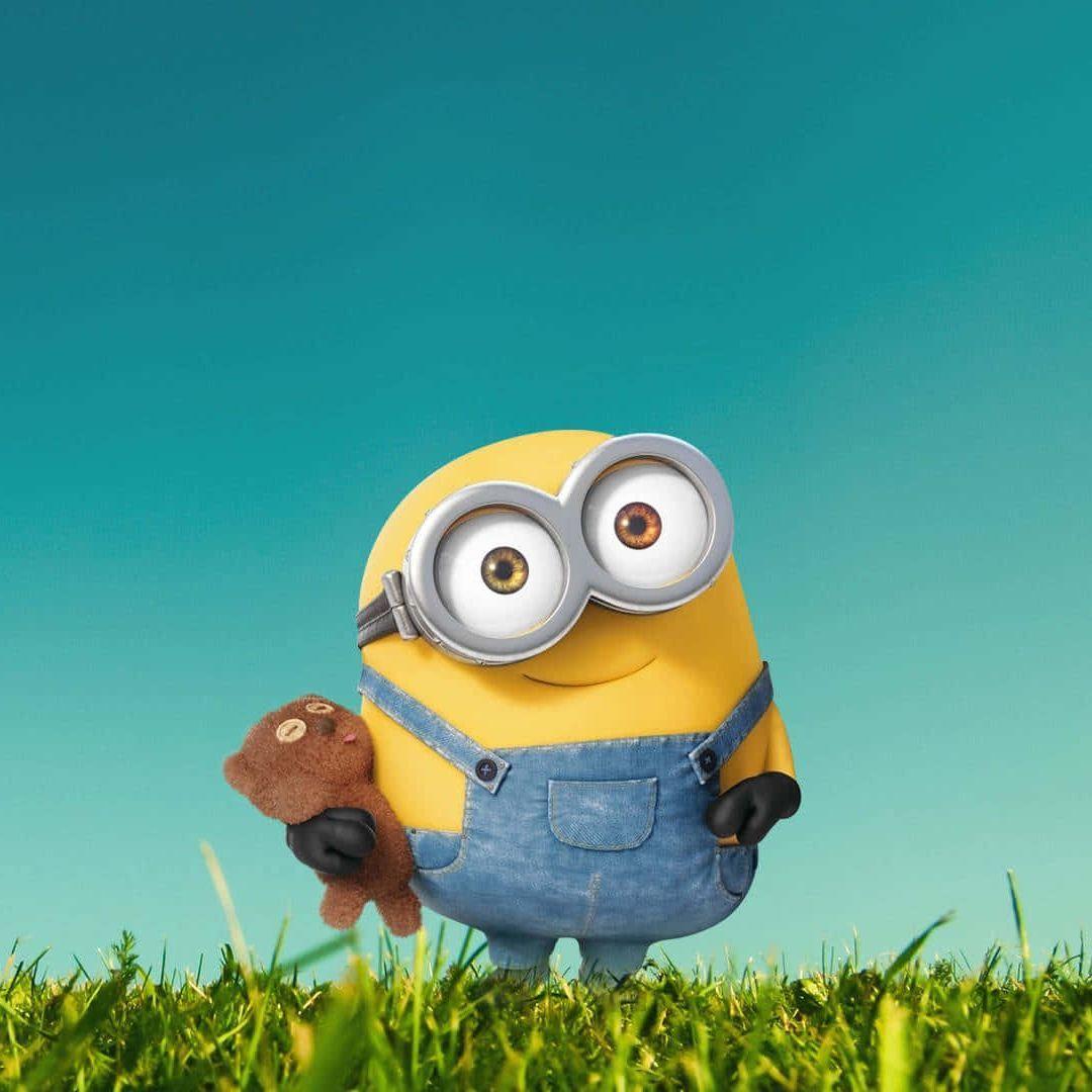 SA1MOL avatar