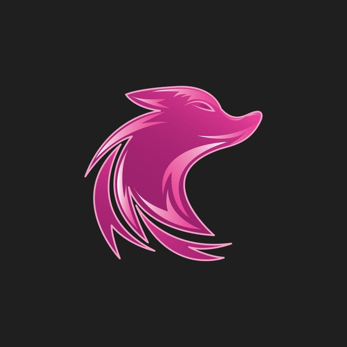 Player iL-vento-Fox avatar