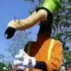 Hessuttelia avatar