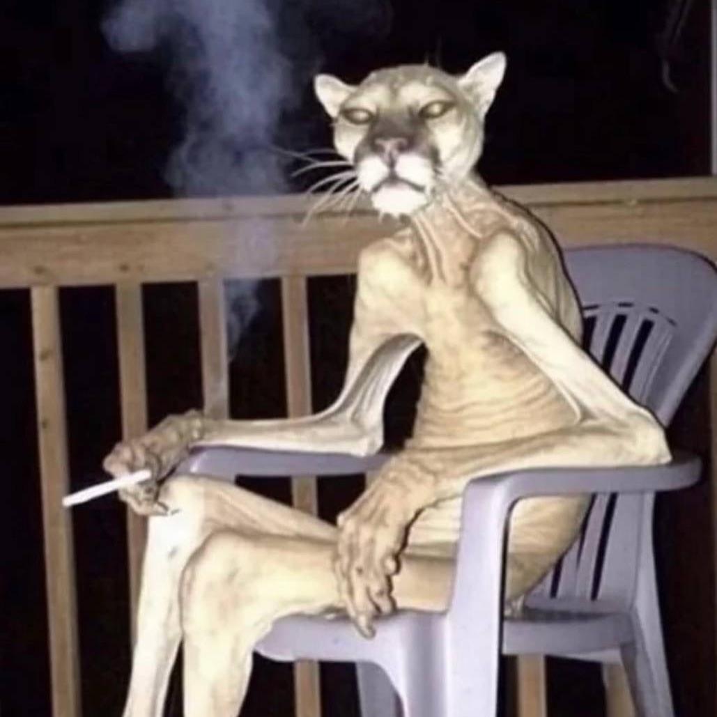 Almavt avatar