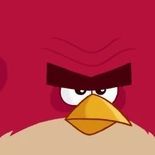 woy FACEIT avatar