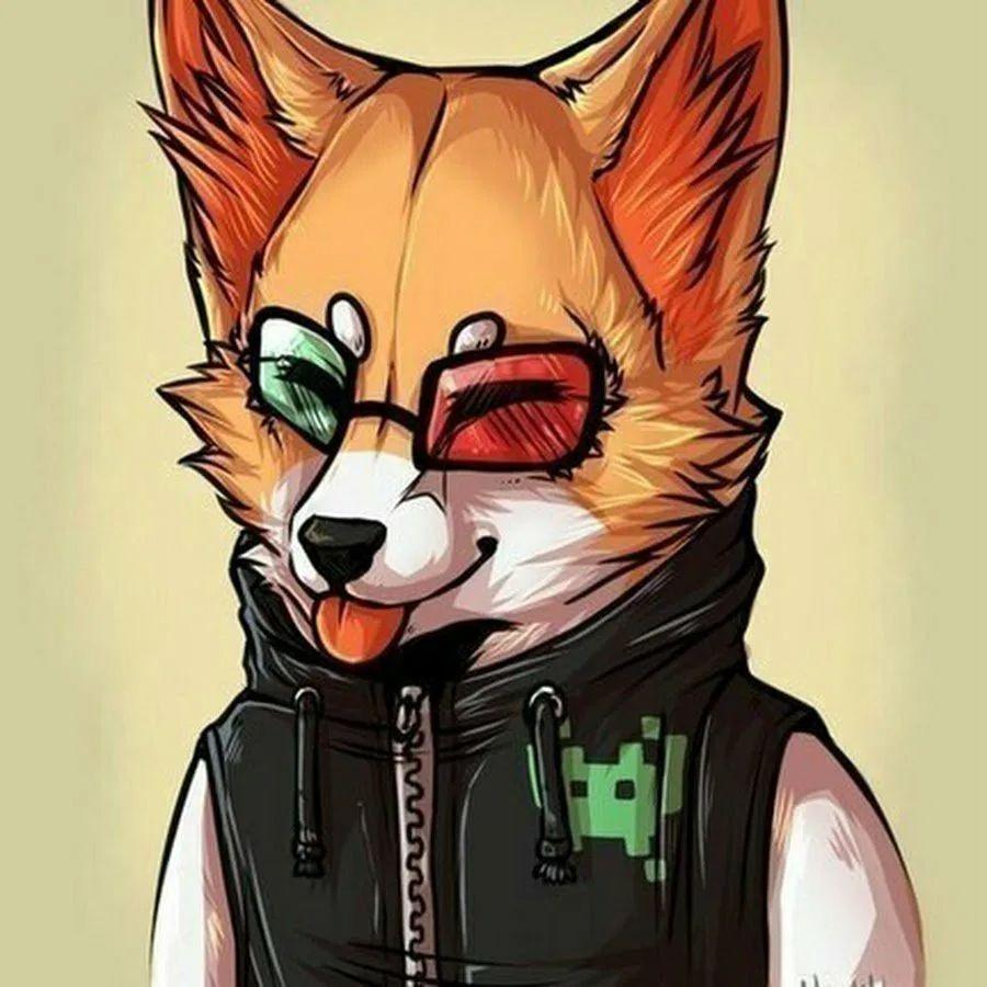 OPG-Fox avatar