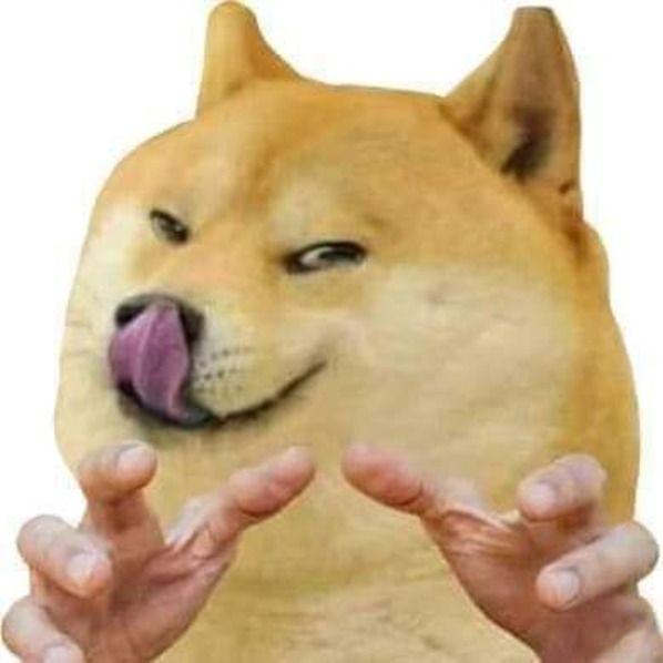 notdoge__ avatar