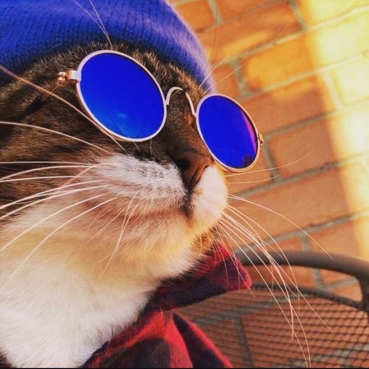 KarolCs25