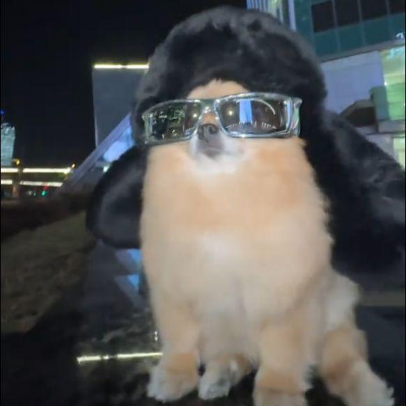 TonyKompano