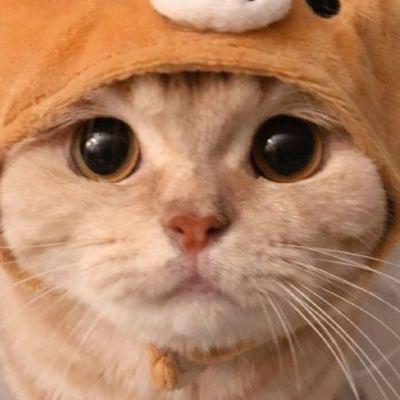GLAZOMAR avatar