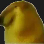 souobait avatar