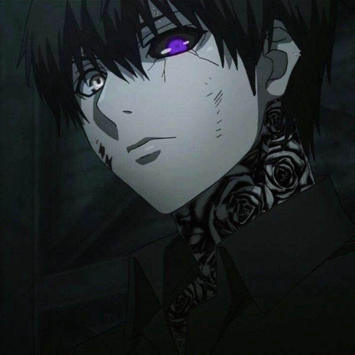 vitroox avatar