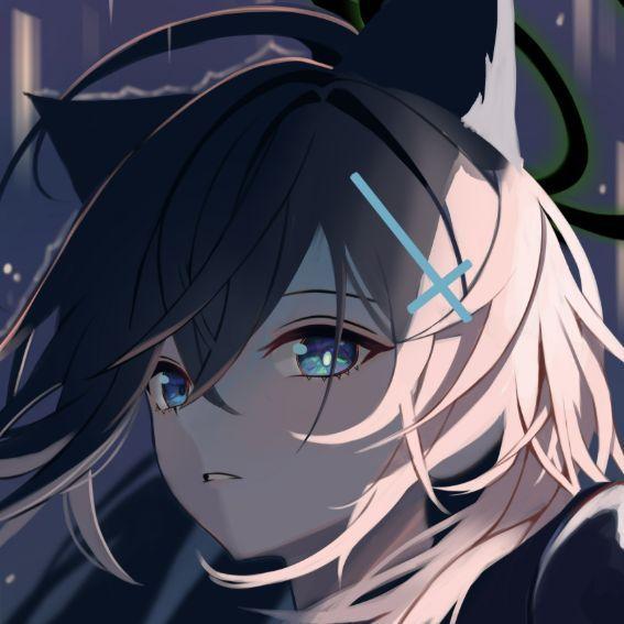 Shiroko avatar
