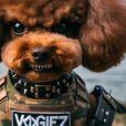 Vogiez avatar