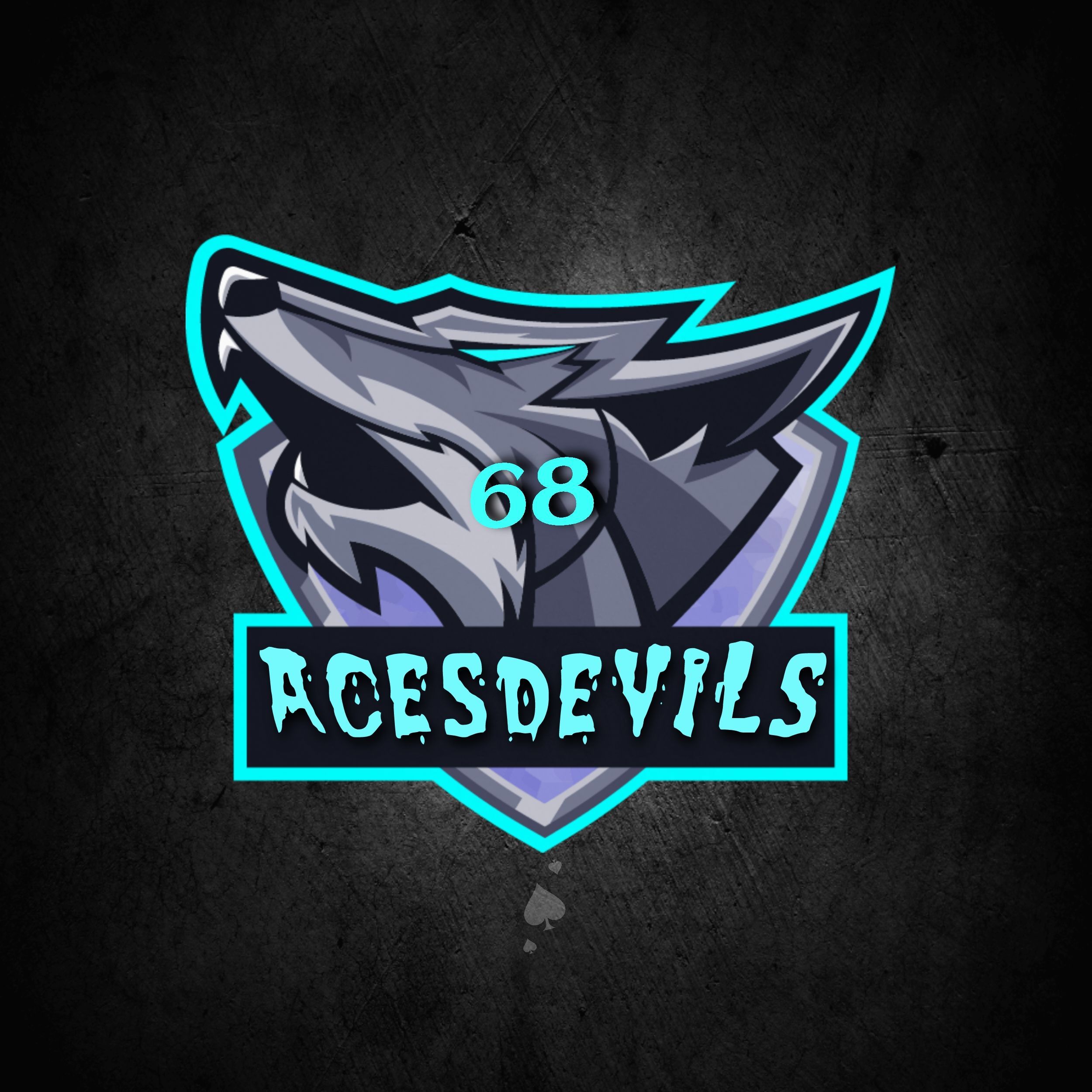 AcesDevilss