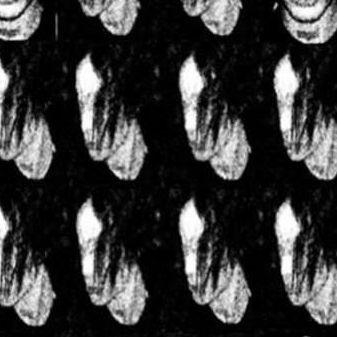 _Trypanosoma avatar