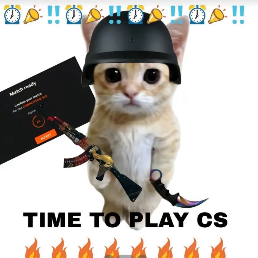 Cetepek FACEIT avatar