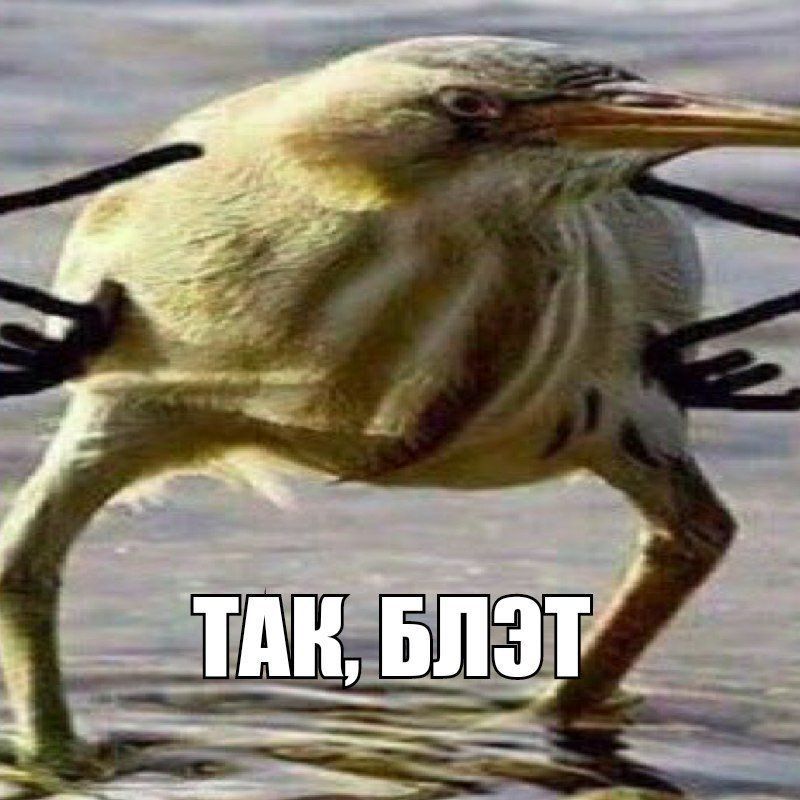 Neozar666