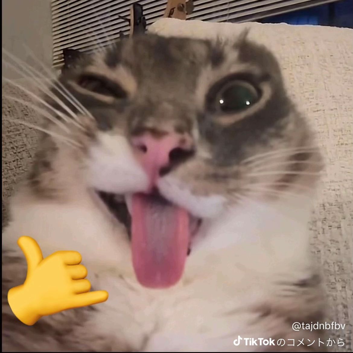 16511