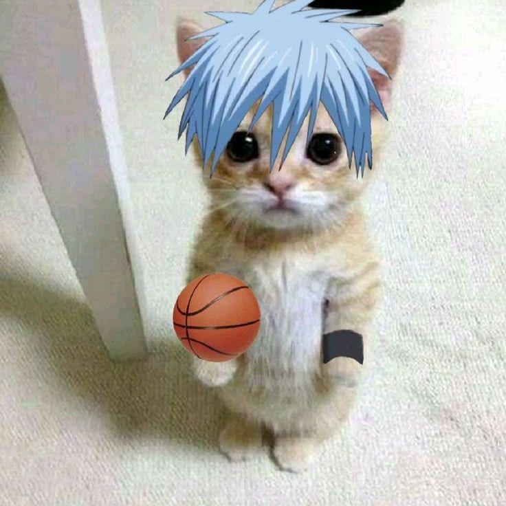 melvillc avatar