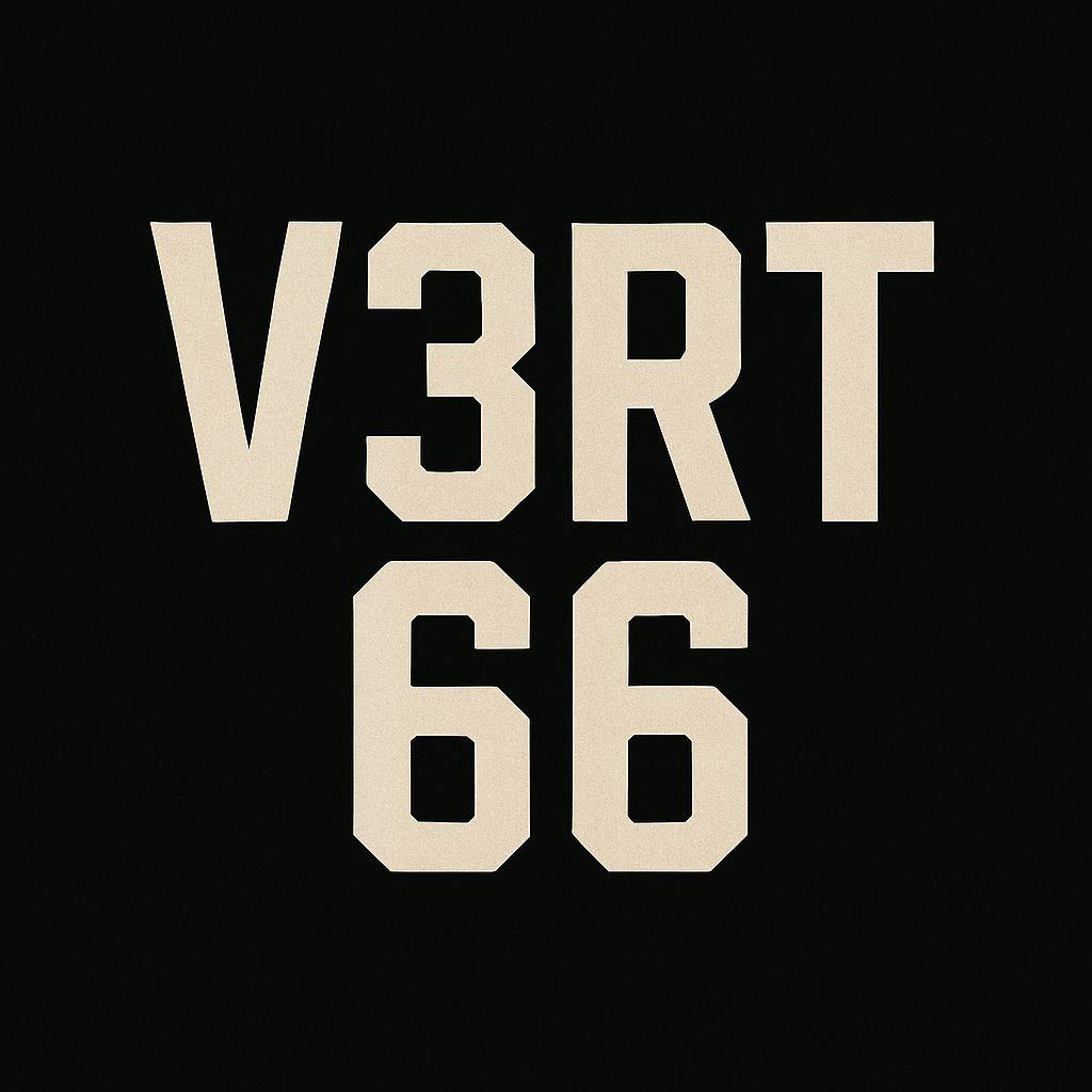 V3RT_66 avatar