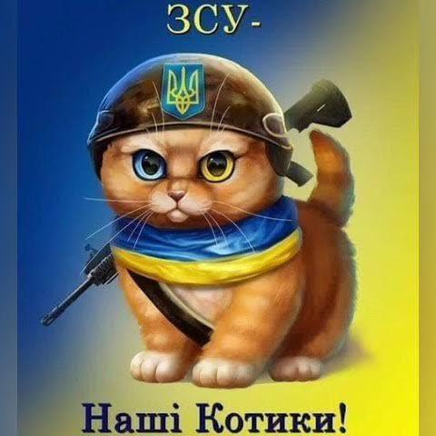 ZSY_ KOTIKI