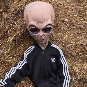 thirteen_ avatar