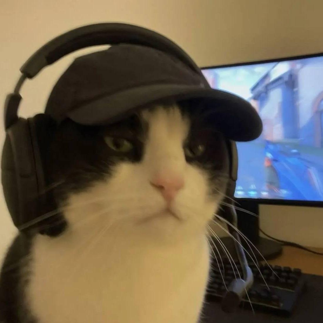 onmorozok avatar