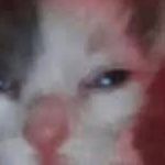 Faceit Avatar