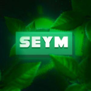 Player seym_yt avatar