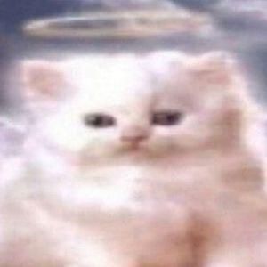 MacTyp6aT0P avatar