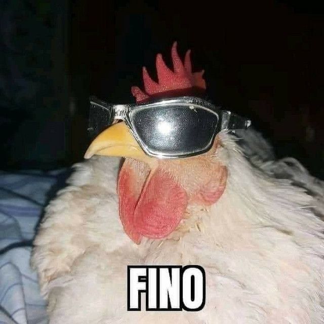 Xa0lin