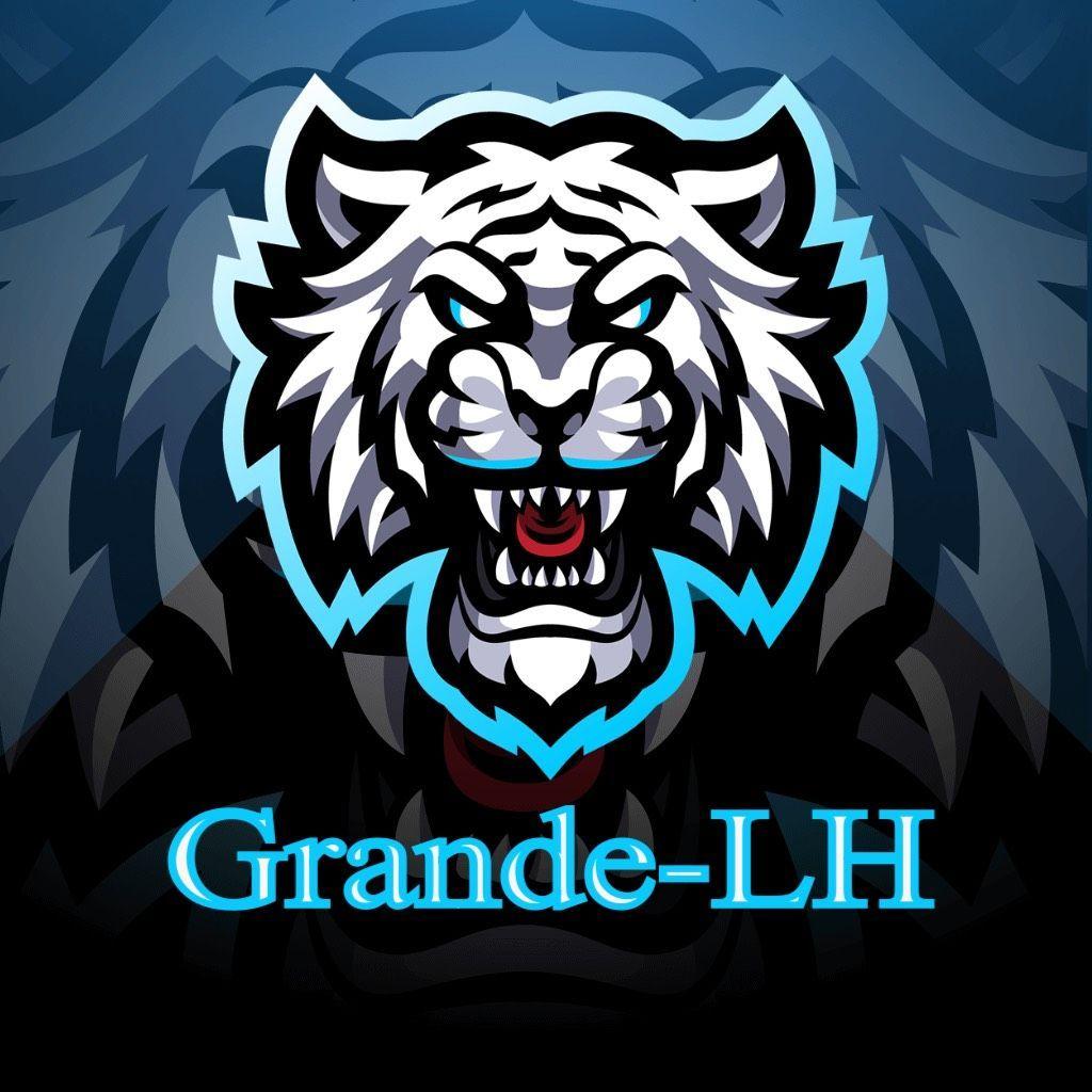 Player grandelh1 avatar