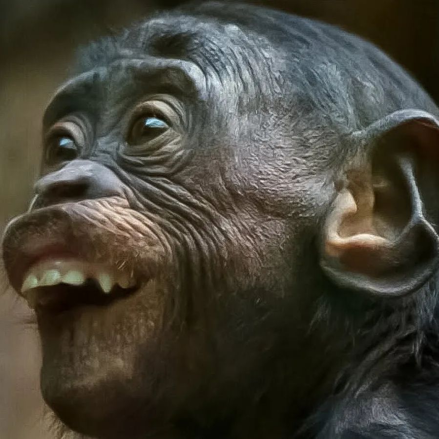 Aut1sticMonkeys