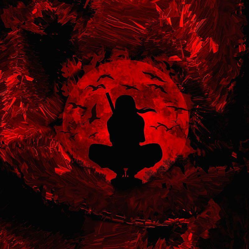 ChiKaR1 avatar