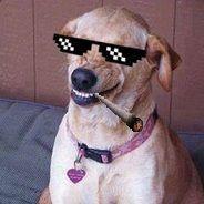 Player d1rtydogg avatar