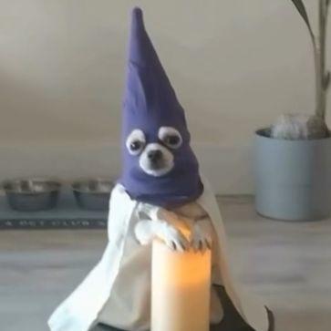 IsMannen avatar