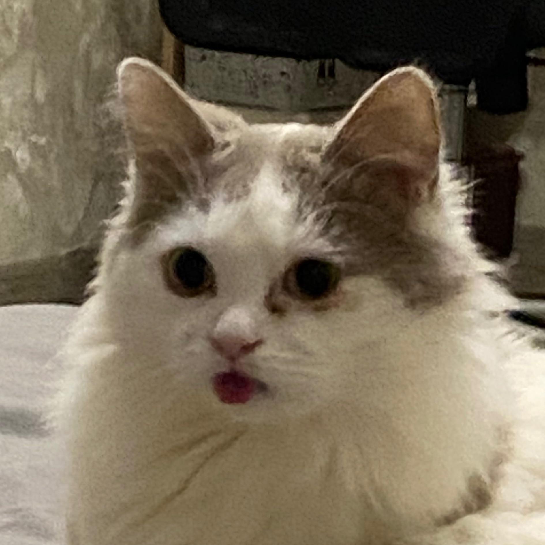 Maksimasa avatar