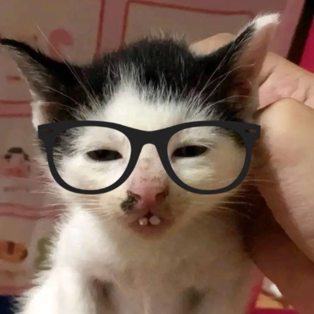 KyPiDoN36