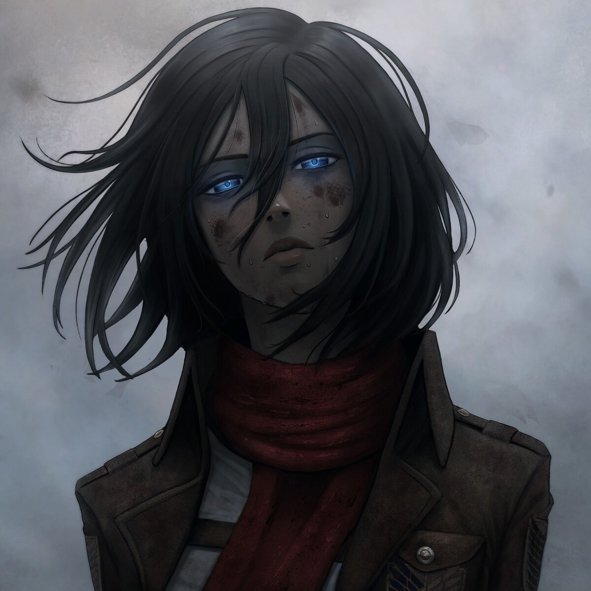 Mikasa979