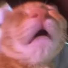 fire_ avatar