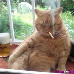 eskibastus avatar