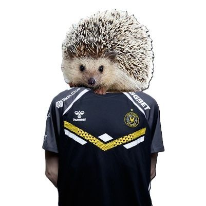 _KicA FACEIT avatar