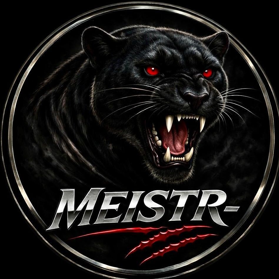 MEISTR-