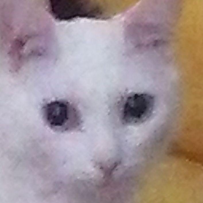 tsarsss avatar